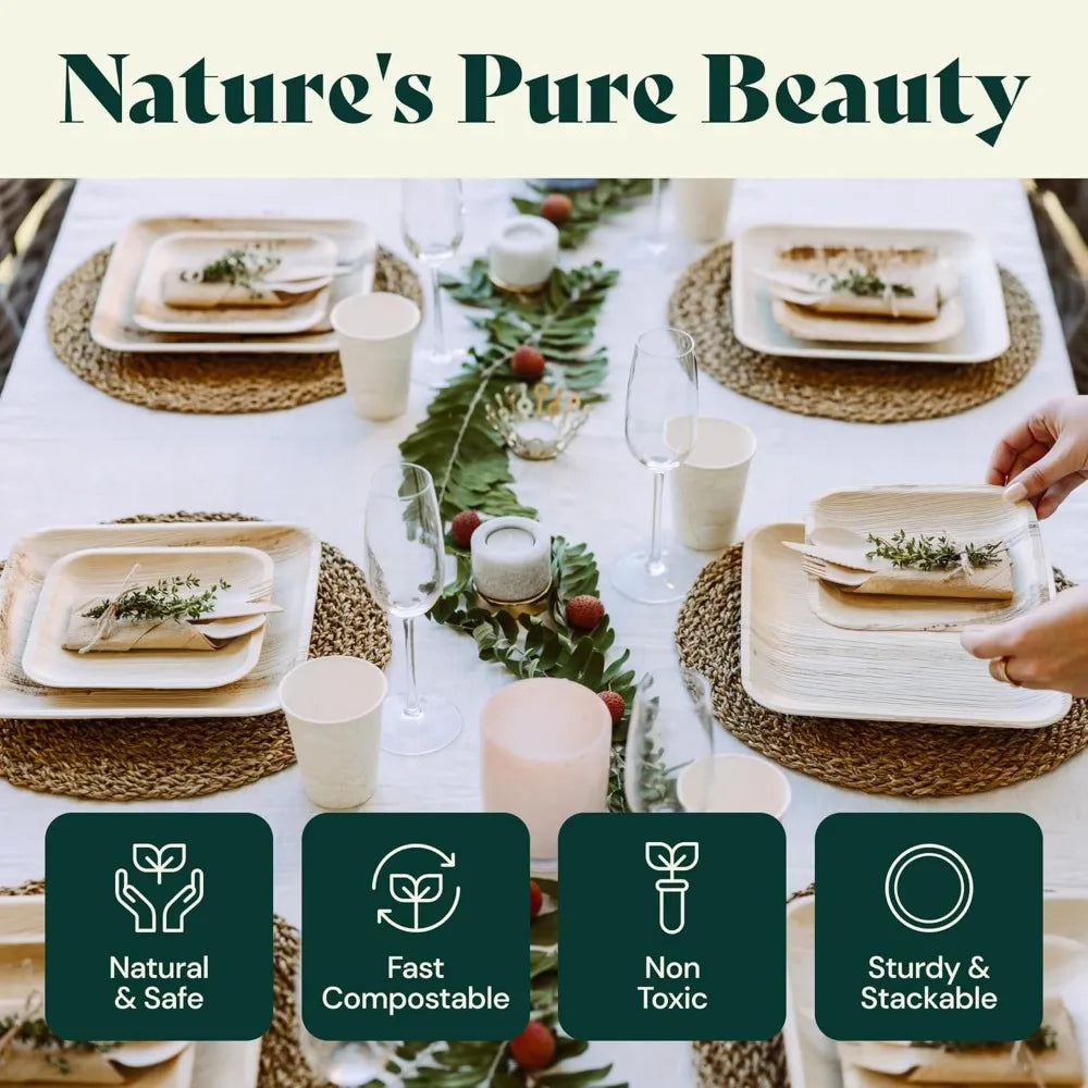 340 Pcs Bulk Pack Tableware for 45 Guests - 100% Biodegradable